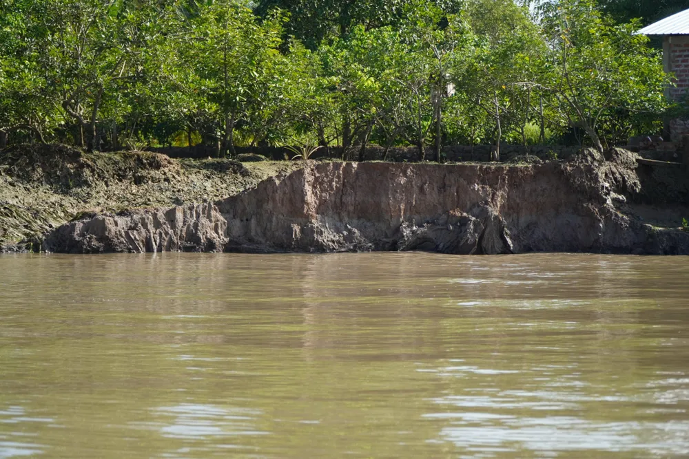 sạt lở bờ sông cổ chiên sạt lở bờ sông cổ chiên
