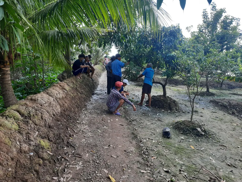 sạt lở bờ sông cổ chiên sạt lở bờ sông cổ chiên