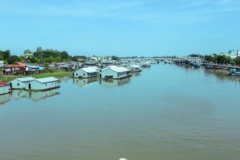 nuôi cá tra Hồng Ngự