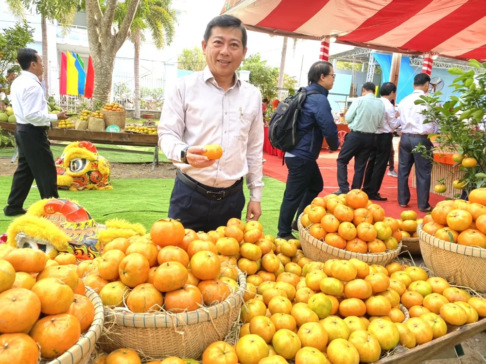 lễ quýt hồng lễ quýt hồng