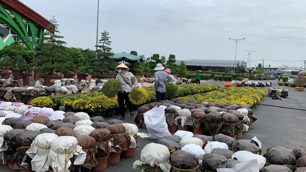 làng hoa sa đéc làng hoa sa đéc