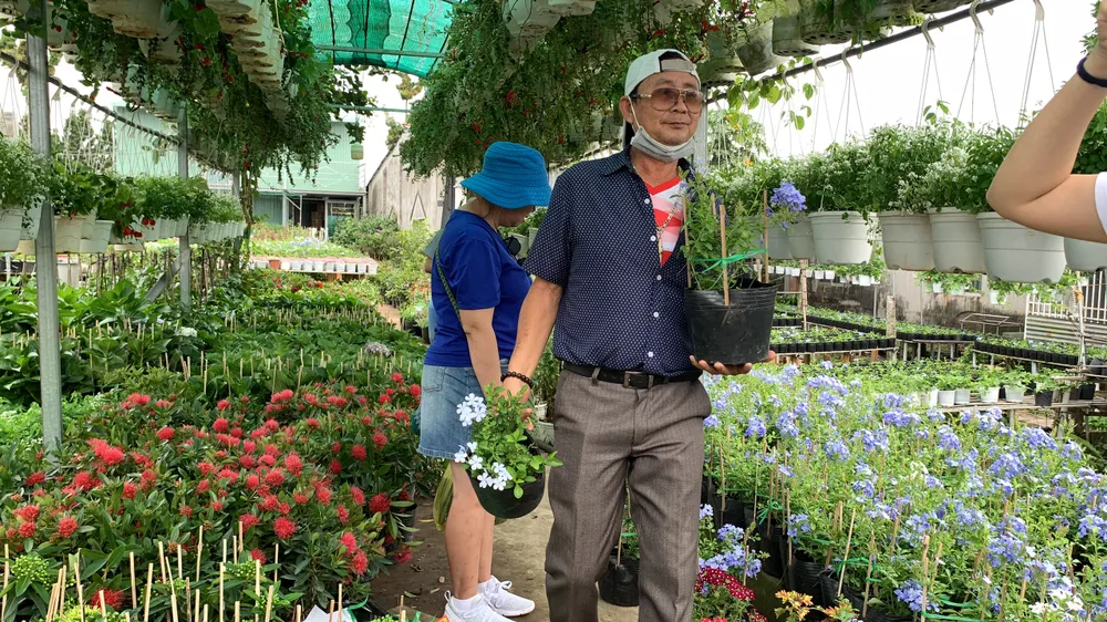 làng hoa sa đéc làng hoa sa đéc