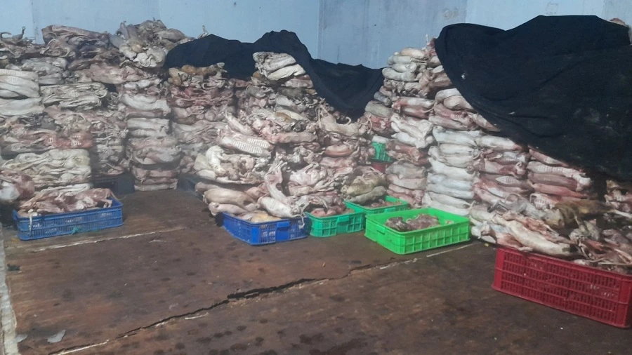 bệnh gia súc, gia cầm