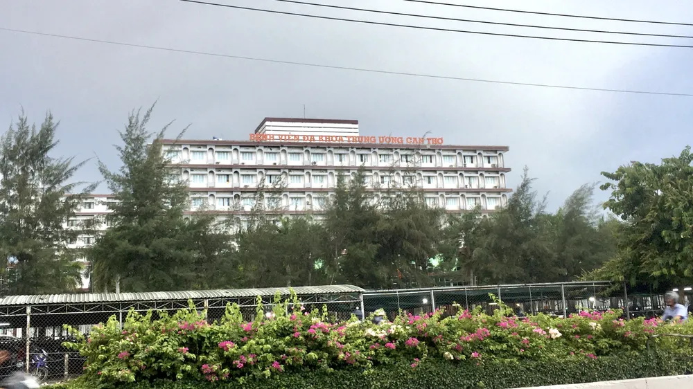 chứng nhận đột quỵ chứng nhận đột quỵ