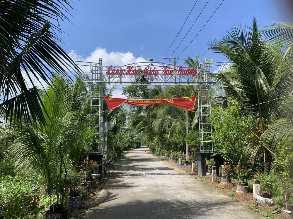 Làng hoa Giấy Tân Dương (TP Sa Đéc).