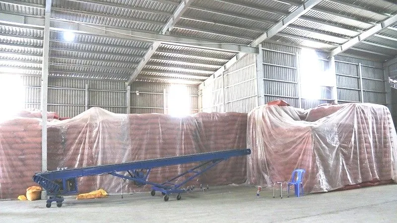 buôn lậu đậu xanh buôn lậu đậu xanh