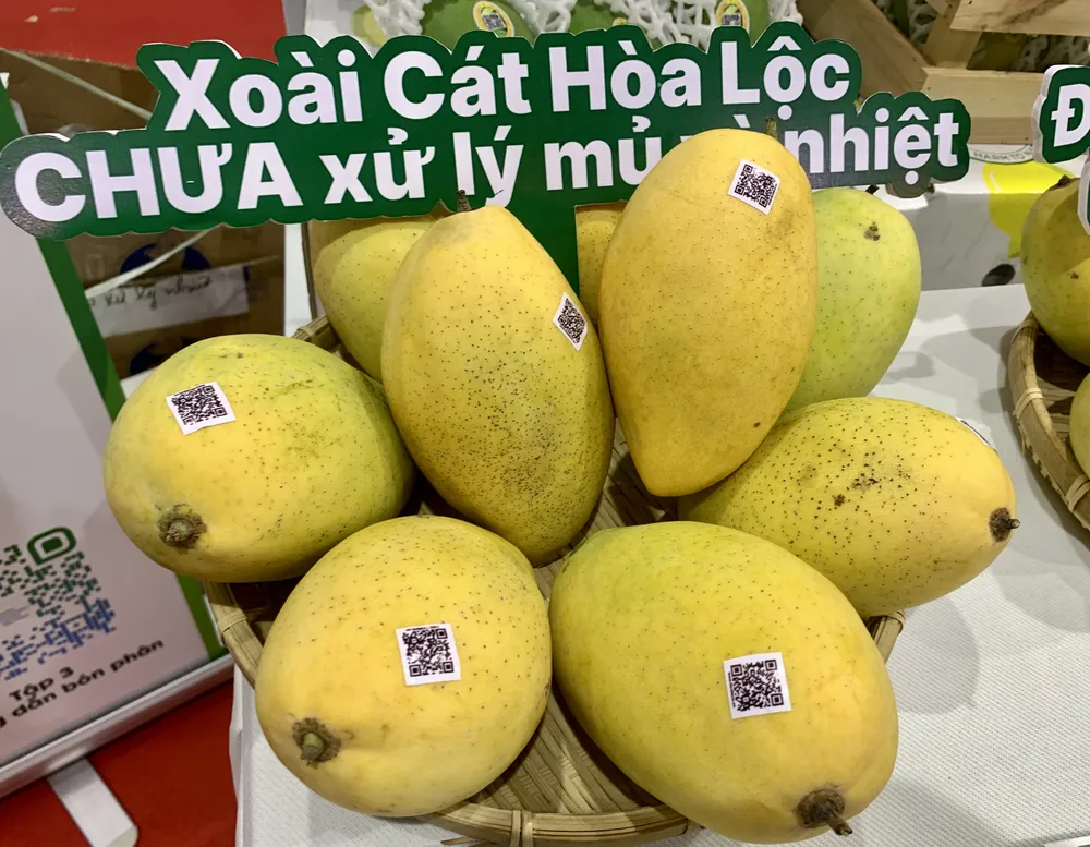 lễ hội xoài lễ hội xoài