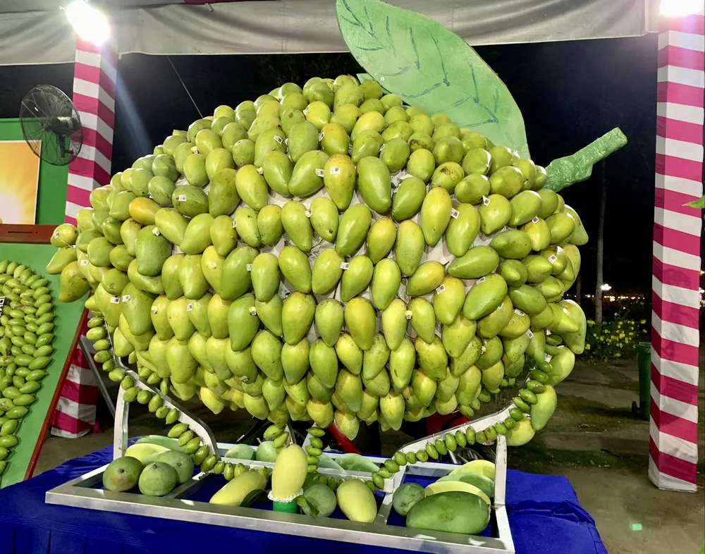 lễ hội xoài lễ hội xoài