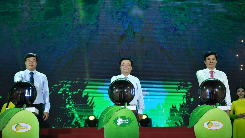 lễ hội xoài lễ hội xoài