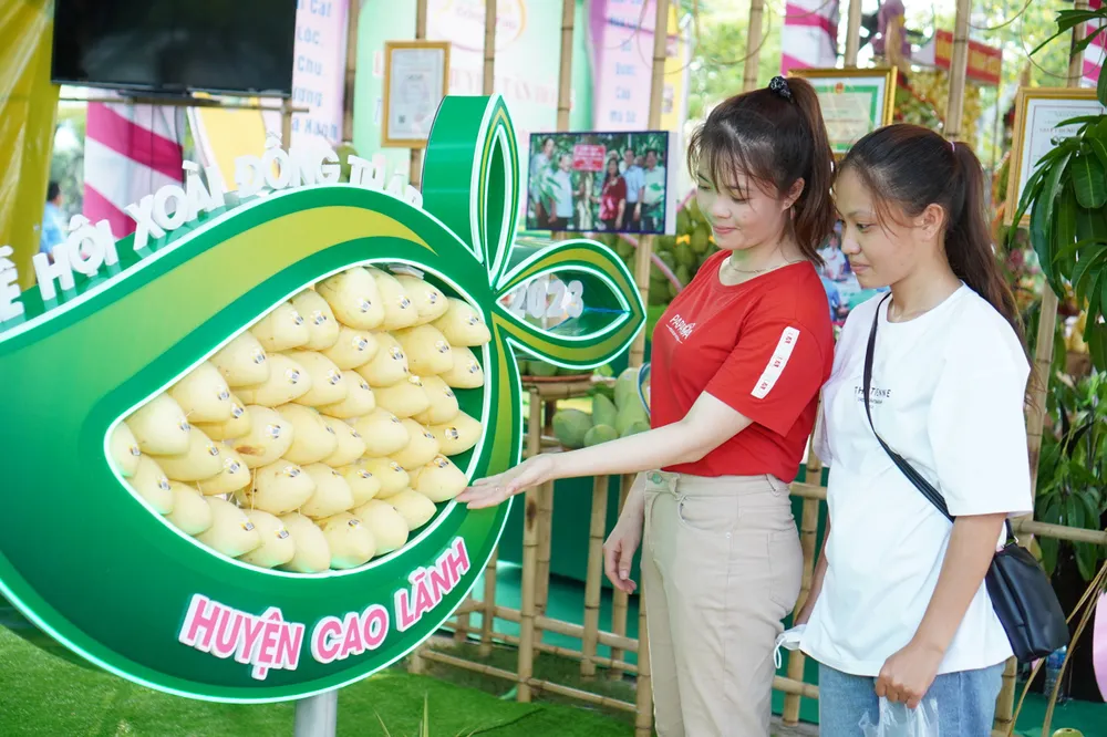 lễ hội xoài lễ hội xoài