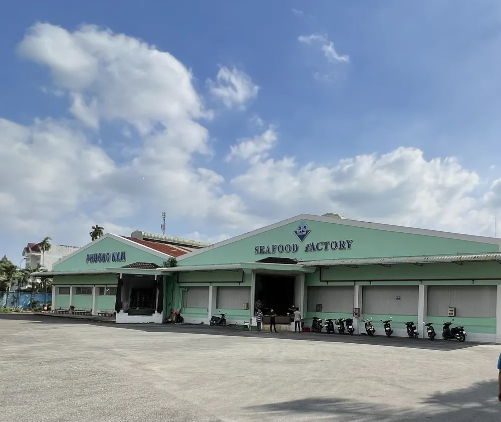 phá sản phương nam