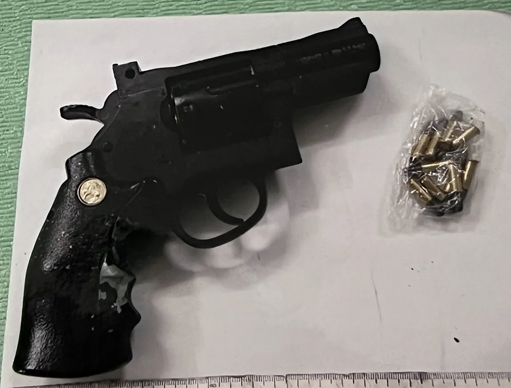 tàng trữ súng tàng trữ súng