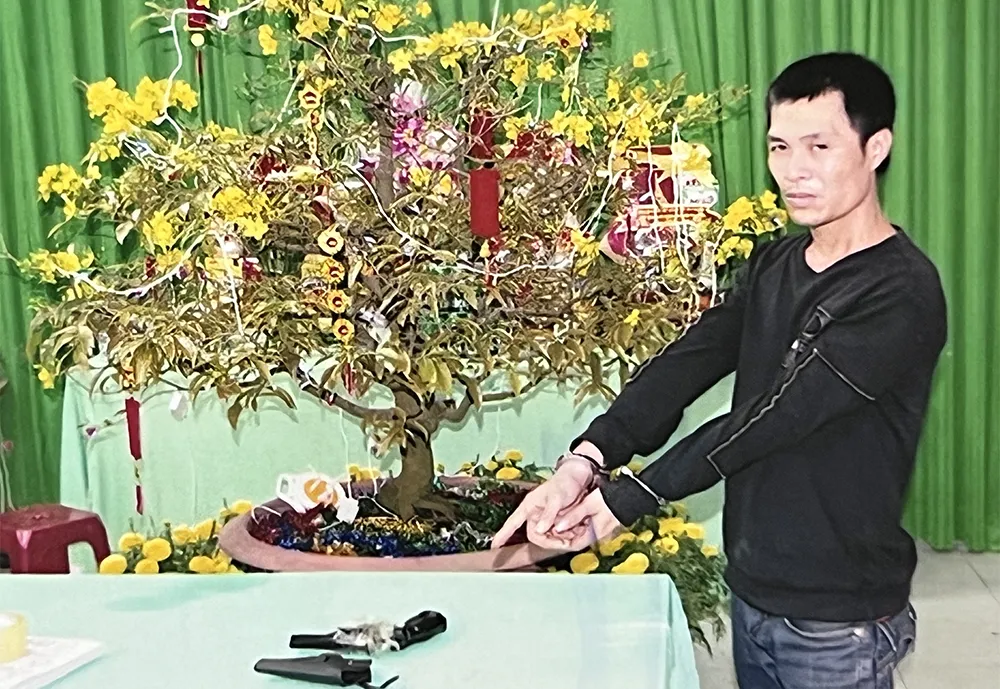 tàng trữ súng tàng trữ súng