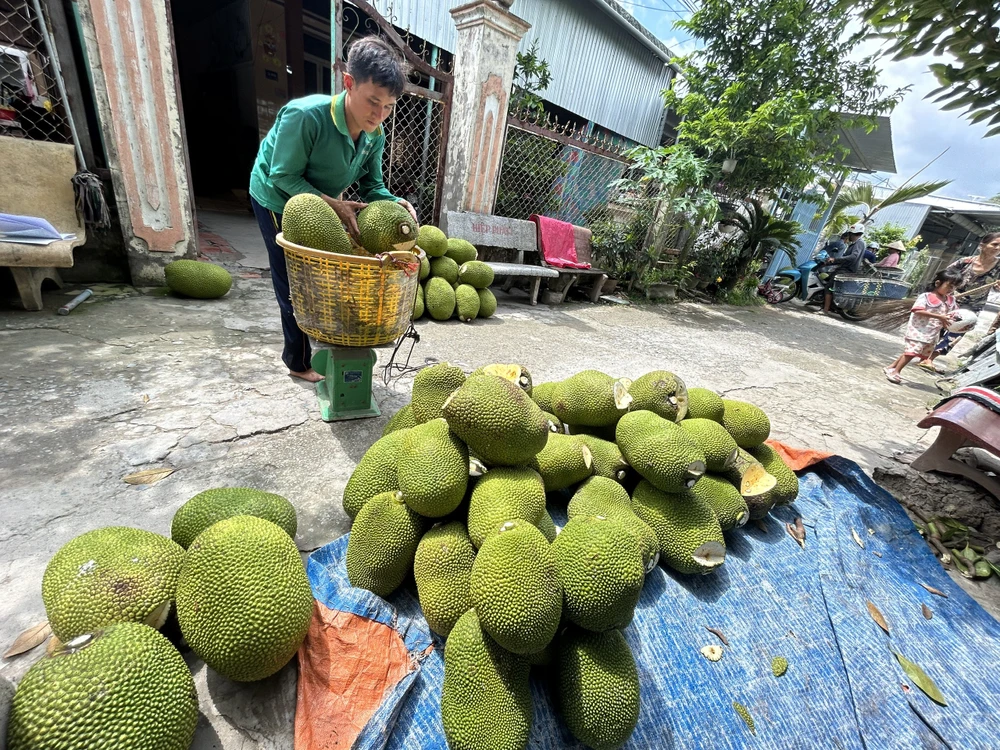 nông sản miền tây