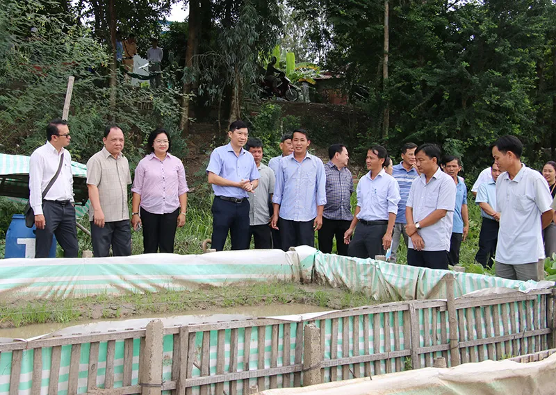 Chủ tịch UBND tỉnh Phạm Thiện Nghĩa thăm và đánh giá cao mô hình nuôi lươn thịt và lươn giống của Bình Lý Hội quán (TP Hồng Ngự). Ảnh: BTC ngay-hoi-hoi-quan-chu-tich.jpeg