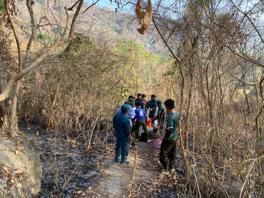 chay-rung-an-giang-nui-dai.jpg