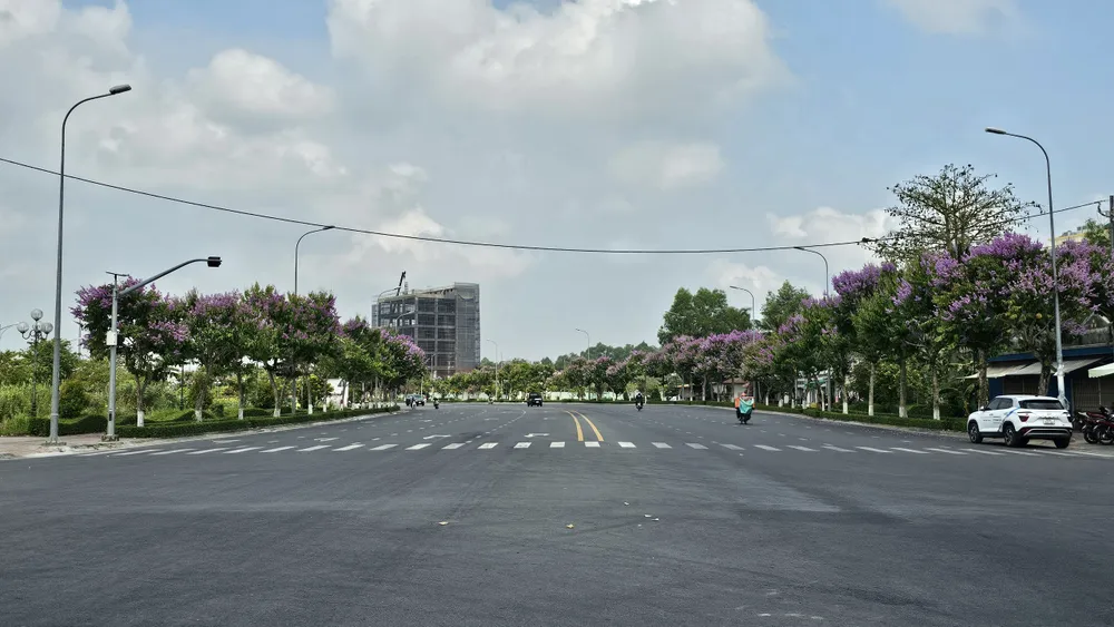 Tại Vĩnh Long, Công ty Cây xanh Công Minh trúng 4 gói thầu. Ảnh: HD Cây xanh Công Minh