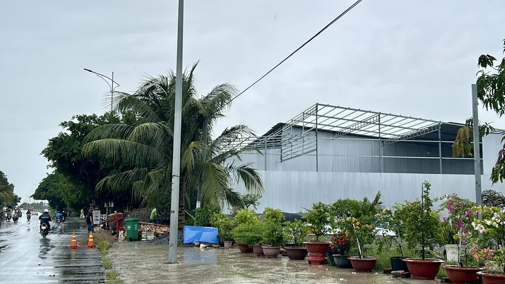 Chưa đầy 1km, phát hiện 3 công trình trái phép trên đất lúa dọc quốc lộ 91B