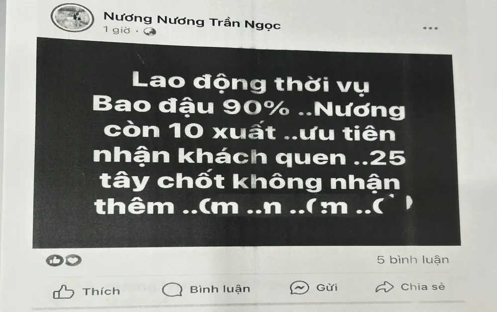 lao động thời vụ