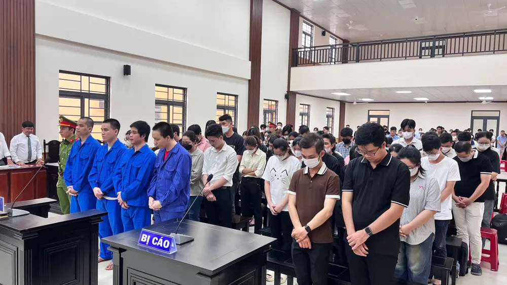 bằng, chứng chỉ giả của 2 trường đại học