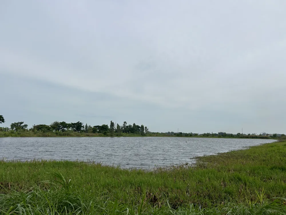 công ty Xây lắp An Giang khai thác đất trái phép