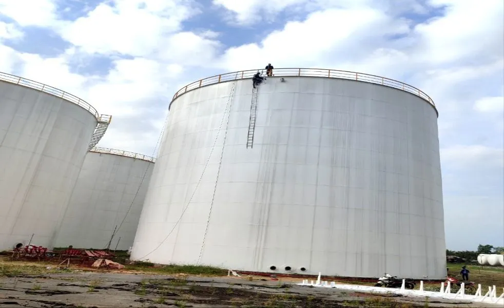 Dầu khí Nam Sông Hậu