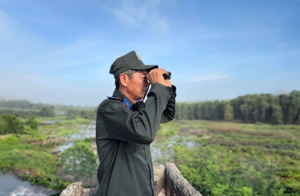 sếu đầu đỏ vườn quốc gia tràm chim