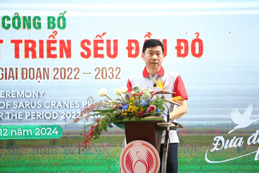 sếu đầu đỏ vườn quốc gia tràm chim