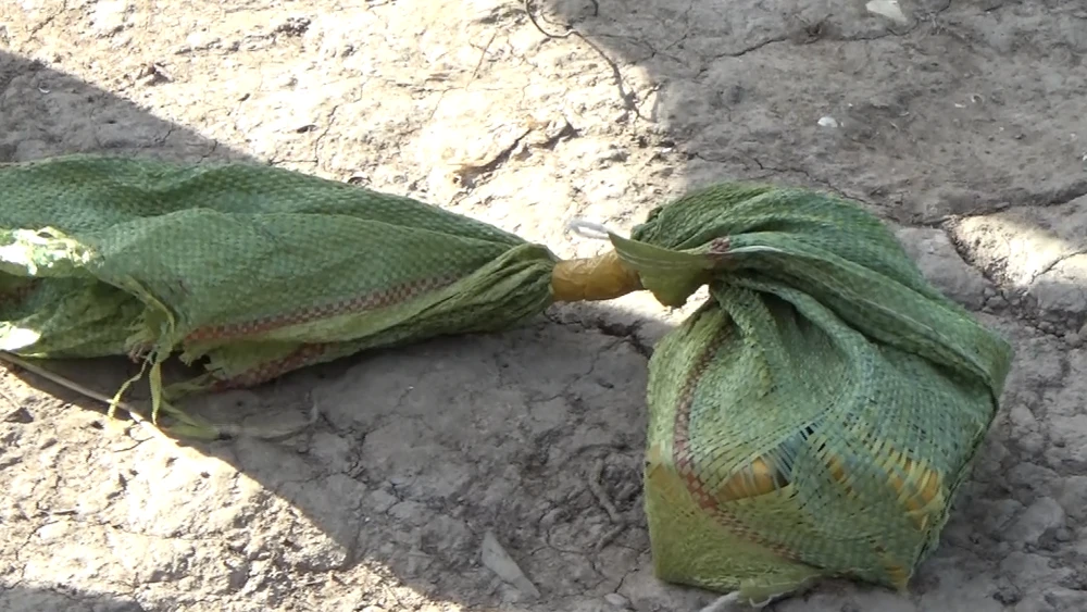 vận chuyển trái phép 12kg vàng biên giới