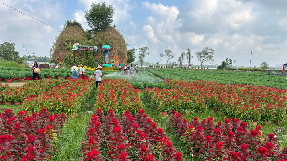 Đón hơn 9 triệu du khách, du lịch Bến Tre thu về hơn 11.000 tỷ đồng