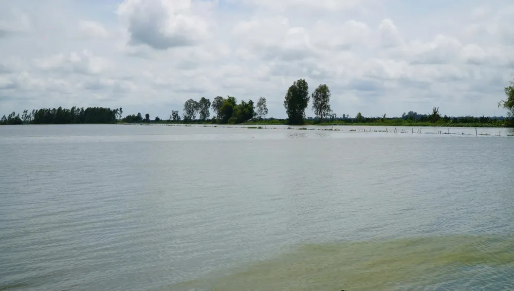 vỡ đê,triều cường,vĩnh long,lũ đầu nguồn