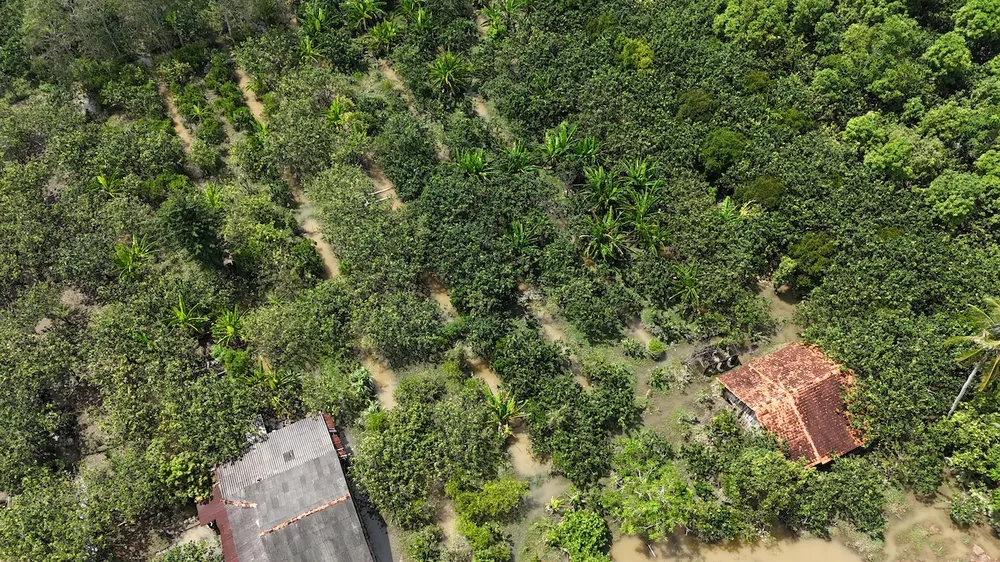 vỡ đê,triều cường,vĩnh long,lũ đầu nguồn