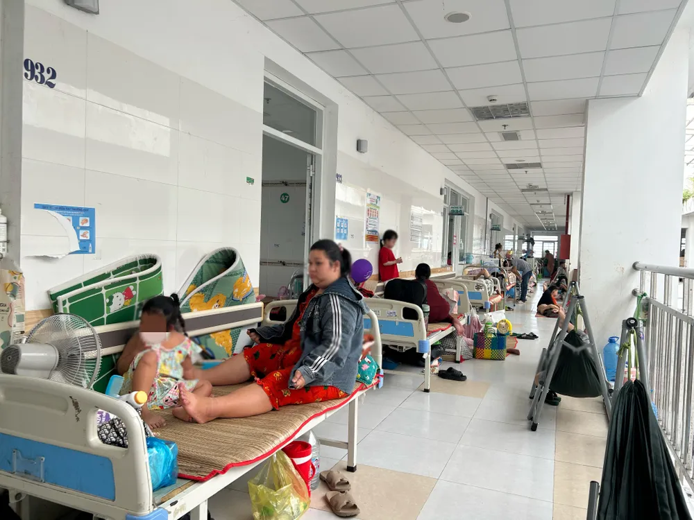 sốt xuất huyết,cần thơ