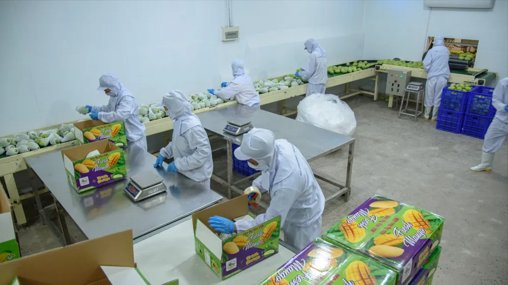 Đồng Tháp: Nông nghiệp xanh làm trụ đỡ, công nghiệp tăng tốc dẫn dắt tăng trưởng