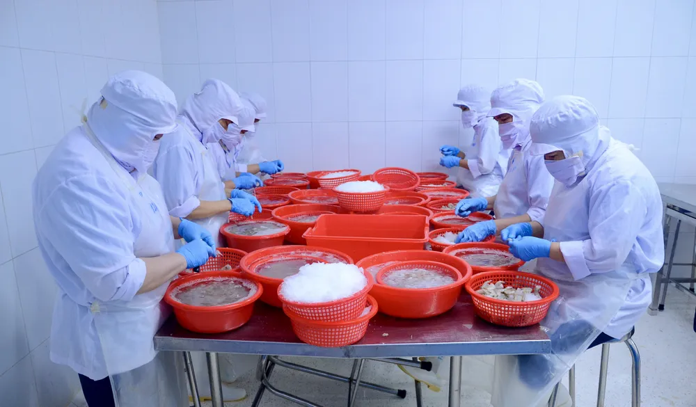 Đồng Tháp: Nông nghiệp xanh làm trụ đỡ, công nghiệp tăng tốc dẫn dắt tăng trưởng