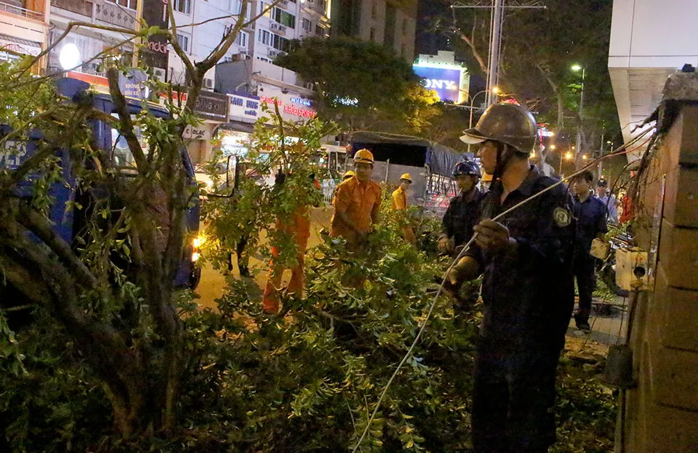Quận 1 cẩu hàng rào quán cà phê Starbucks ảnh 10