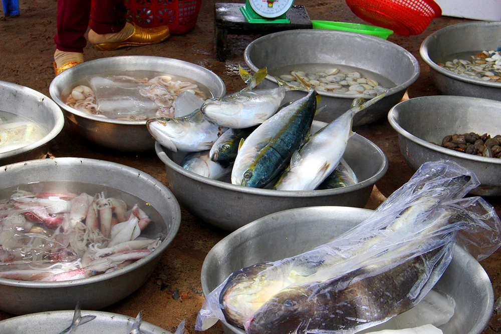 'Chảy nước miếng' với chợ hải sản ở Hồ Tràm ảnh 11
