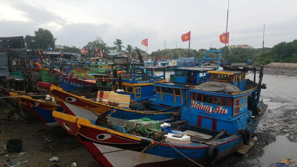 Người dân Cần Giờ sau bão: 'Đợt này ăn Tết vui rồi' ảnh 3