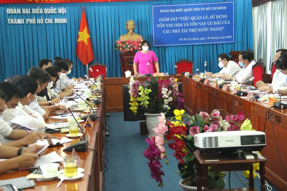 Toàn cảnh buổi giám sát. Ảnh: LÊ THOA