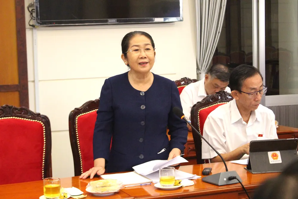 Nguyên Phó Bí thư Thành ủy TP.HCM Võ Thị Dung nêu lo lắng của cử tri về việc ĐBQH bị khởi tố. Ảnh: L.THOA dai-bieu-quoc-hoi-1.JPG