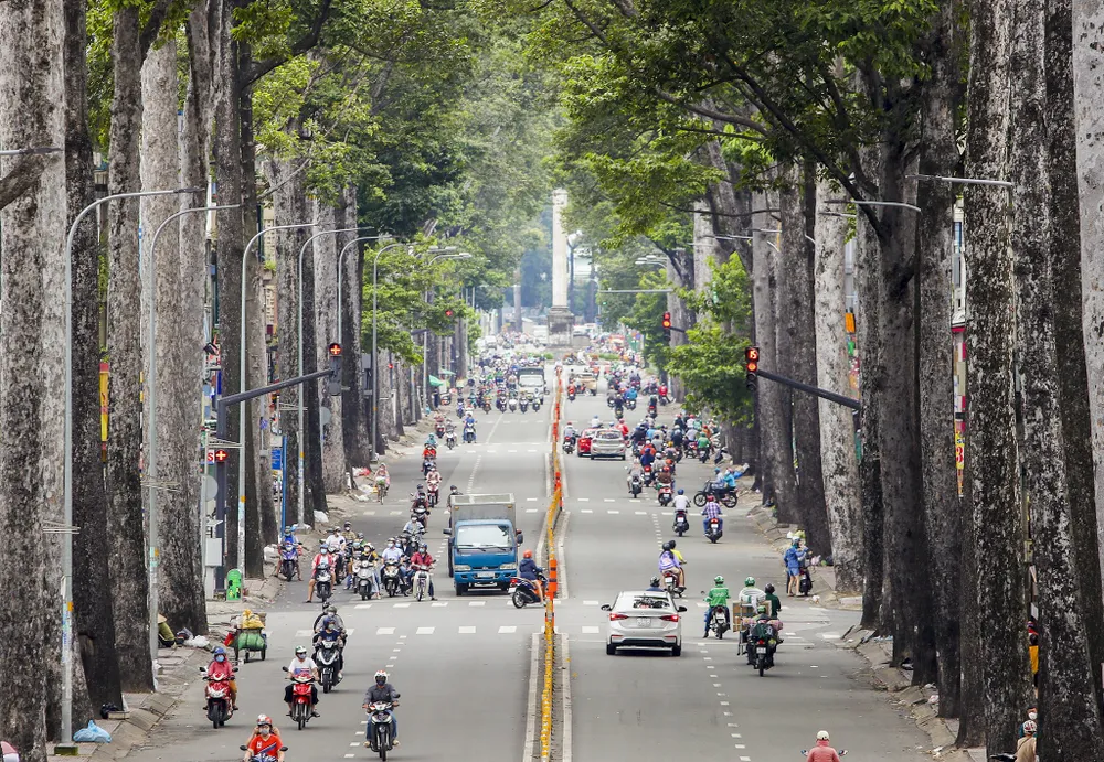 TP.HCM thay thế gần 2.800 cây xanh mất an toàn để phòng mưa bão. Ảnh minh họa: NGUYỆT NHI TP.HCM thay thế gần 2.800 cây xanh mất an toàn để phòng mưa bão-cay-xanh-mat-an-toan.jpg