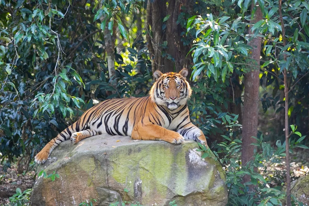 Cơ hội nhận những tấm postcard độc quyền của “thiên đường bán hoang dã”.