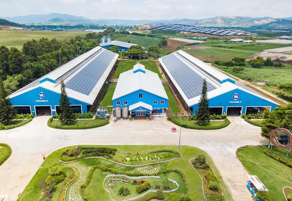 Nhiều doanh nghiệp đã chuyển dịch nhanh hơn trong hoạt động sản xuất xanh nhằm hạn chế tác động đến môi trường để phát triển bền vững. Nhiều doanh nghiệp đã chuyển dịch nhanh hơn trong hoạt động sản xuất xanh nhằm hạn chế tác động đến môi trường để phát triển bền vững.