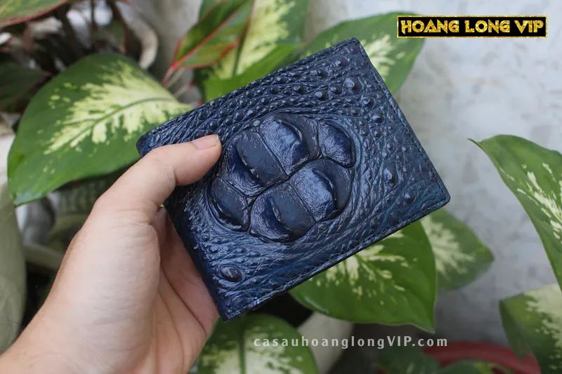 vi-da-ca-sau-Hoang-Long2.png