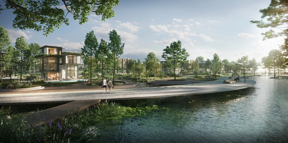 Khám phá chế độ dinh dưỡng của cư dân Blue Zones để ‘đảo ngược lão hóa’