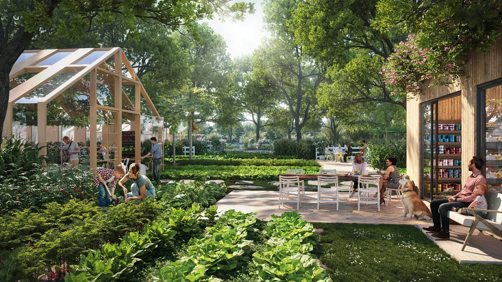 Khám phá chế độ dinh dưỡng của cư dân Blue Zones để ‘đảo ngược lão hóa’4