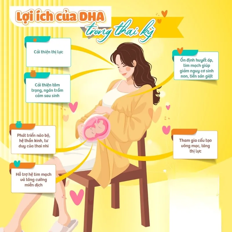 Bổ bầu EU Aplicaps - Giải pháp dinh dưỡng toàn diện cho thai kỳ