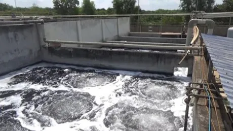 Không cấp phép hoạt động lại cho xưởng nhuộm MeiSheng ảnh 1