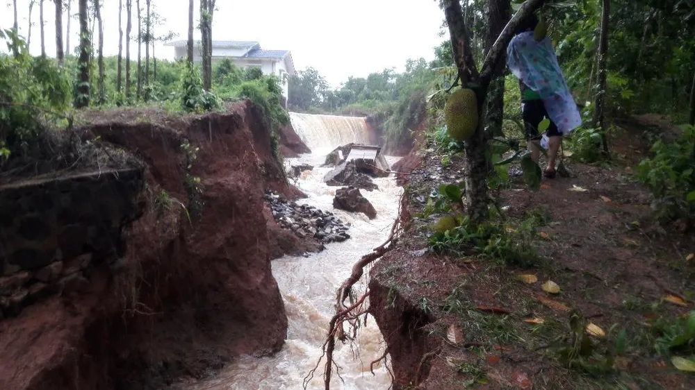 Vụ vỡ đê ở Châu Đức: Lũ kép về trong khi đê quá cũ ảnh 2