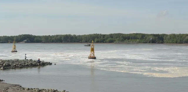 Một đoạn sông Thị Vải nổi bọt màu vàng ảnh 1